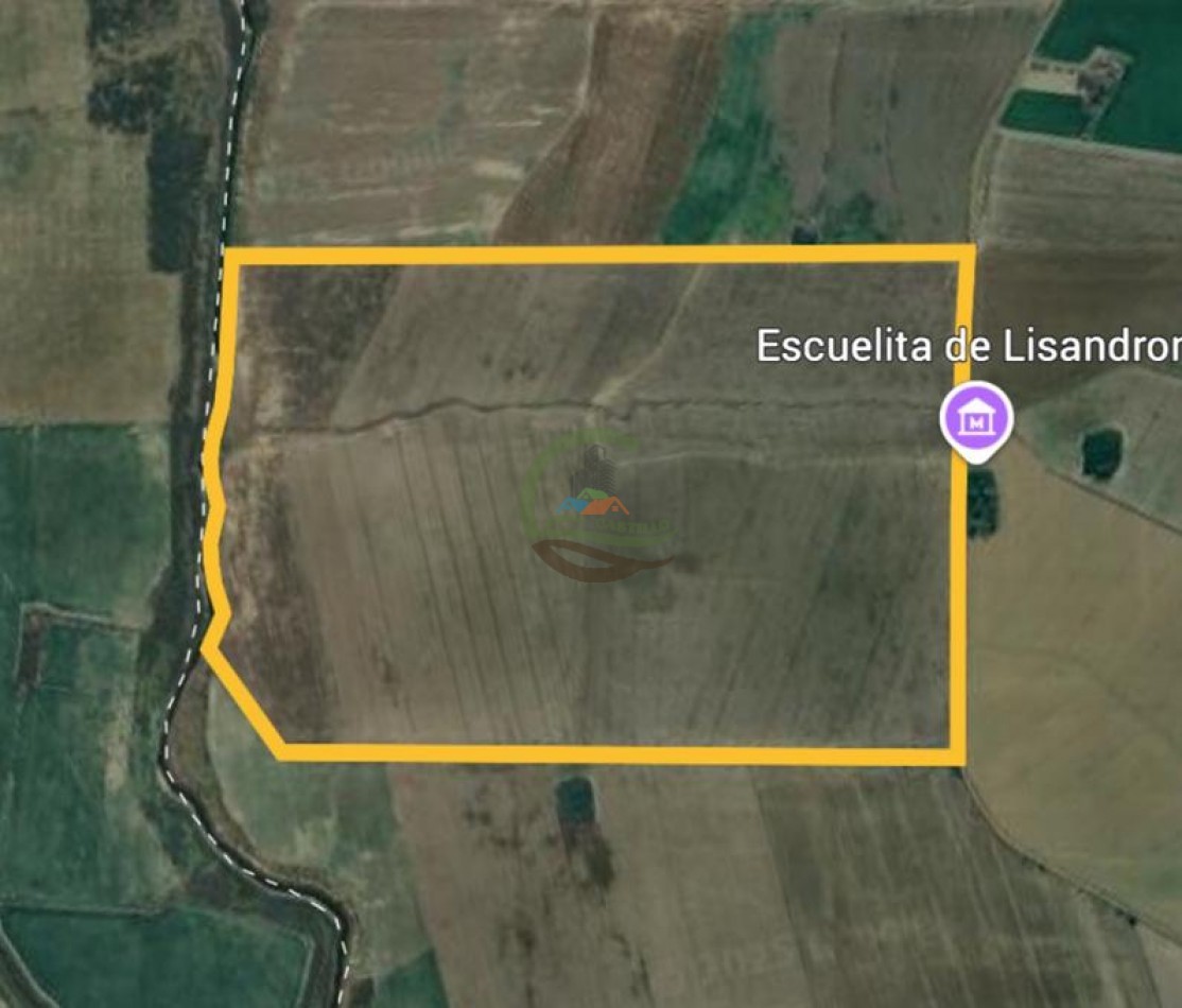 300 Ha Agricolas - Armstrong - Santa Fe