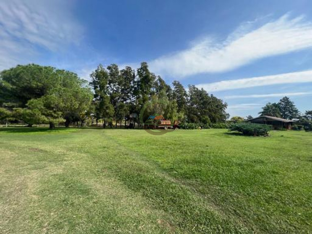 37,5 Ha Agricolas - Zarate