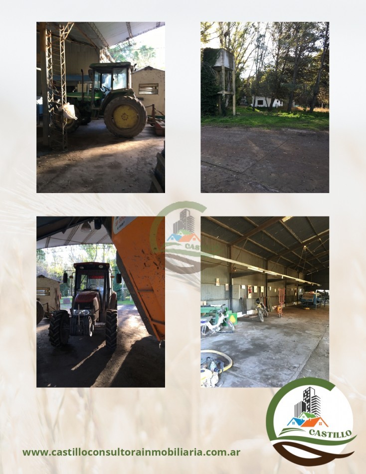 2500 ha mixtas - pedro luro