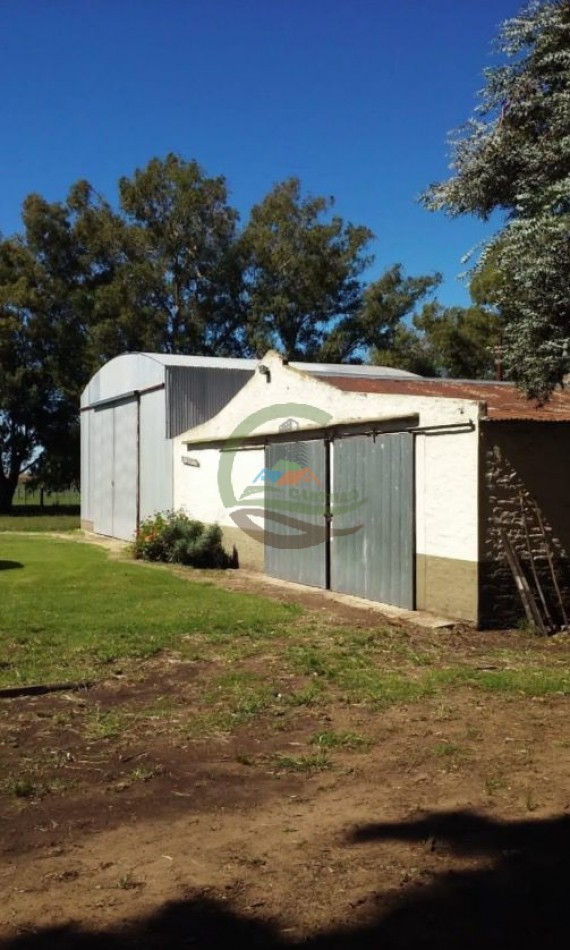116 ha Agricola - Saladillo