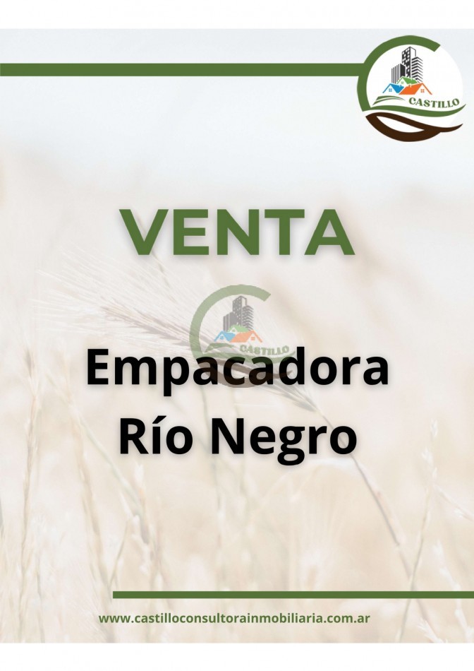 Empacadora de frutas