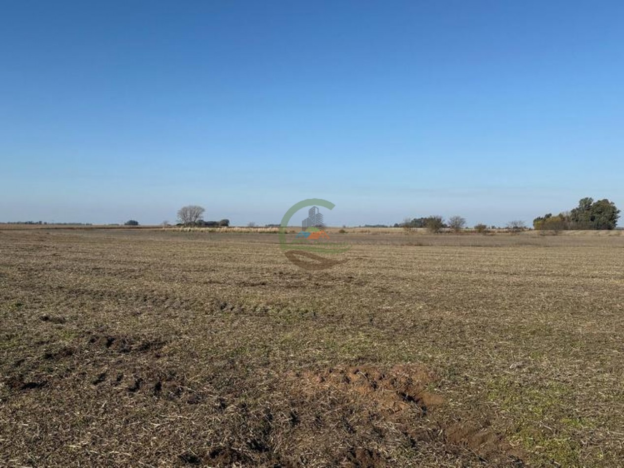 50 Ha Agricolas - Herrera Vegas
