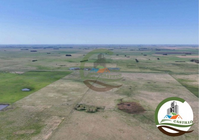 204 ha mixtas - olavarria