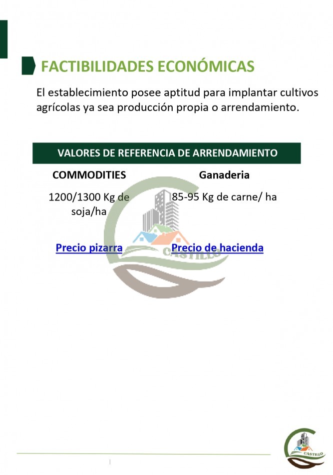 315 ha Mixto - Balcarce