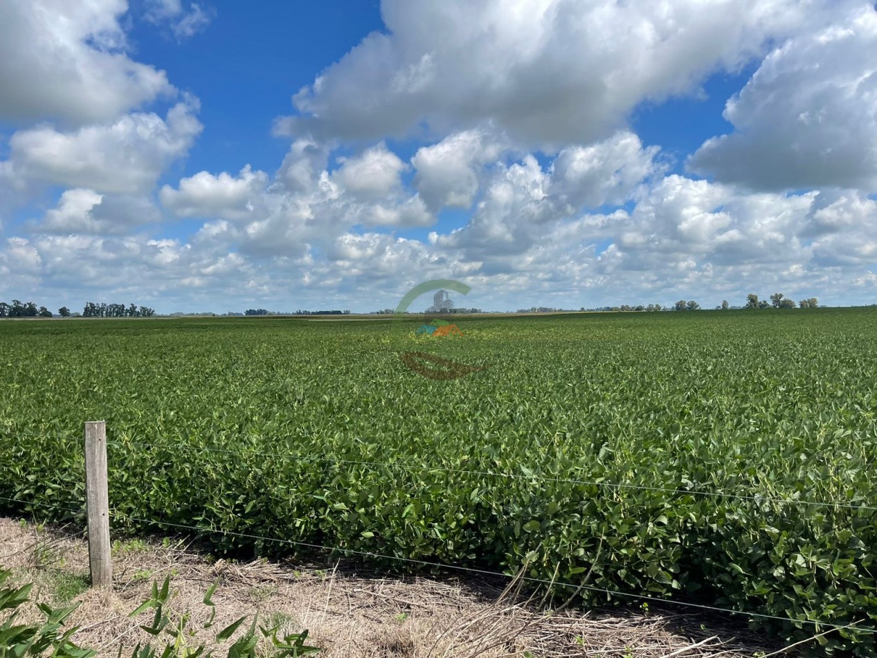 84 ha mixta - Bolivar