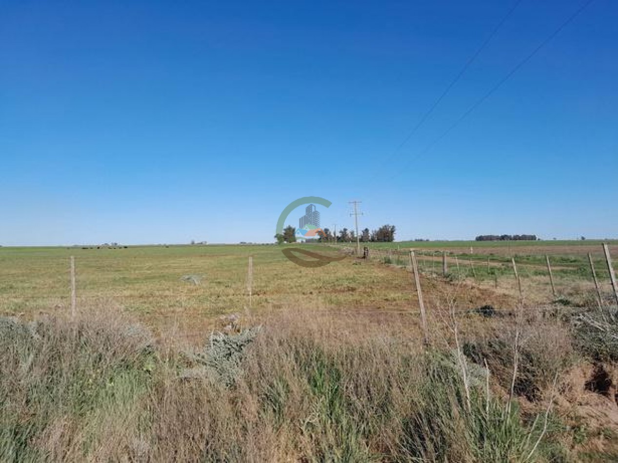 324 Ha Agricolas - San Cayetano