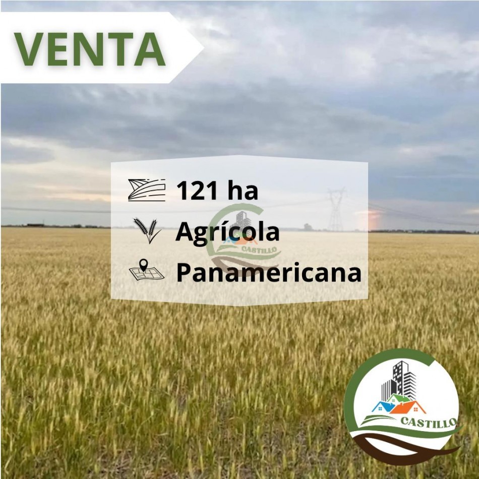121 ha agricola - panamericana