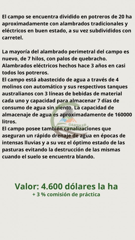 372 ha Mixtas - Las Flores