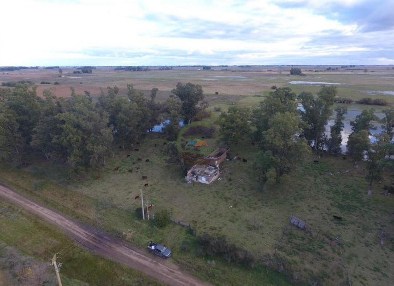 60 Ha Mixto - Las Flores