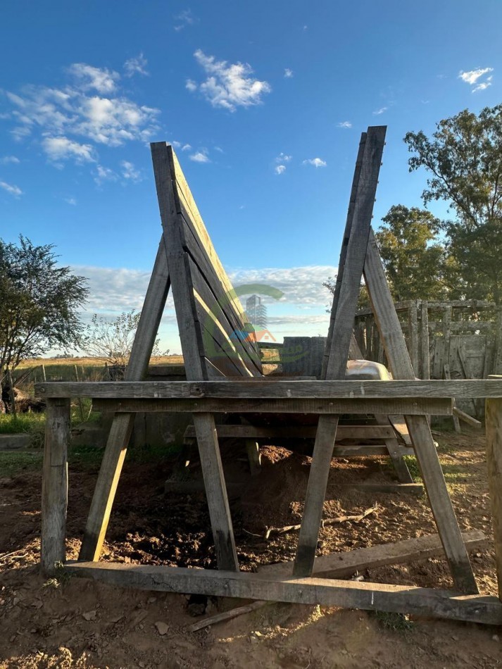 114 Ha Mixto - La Delfina - General Viamonte