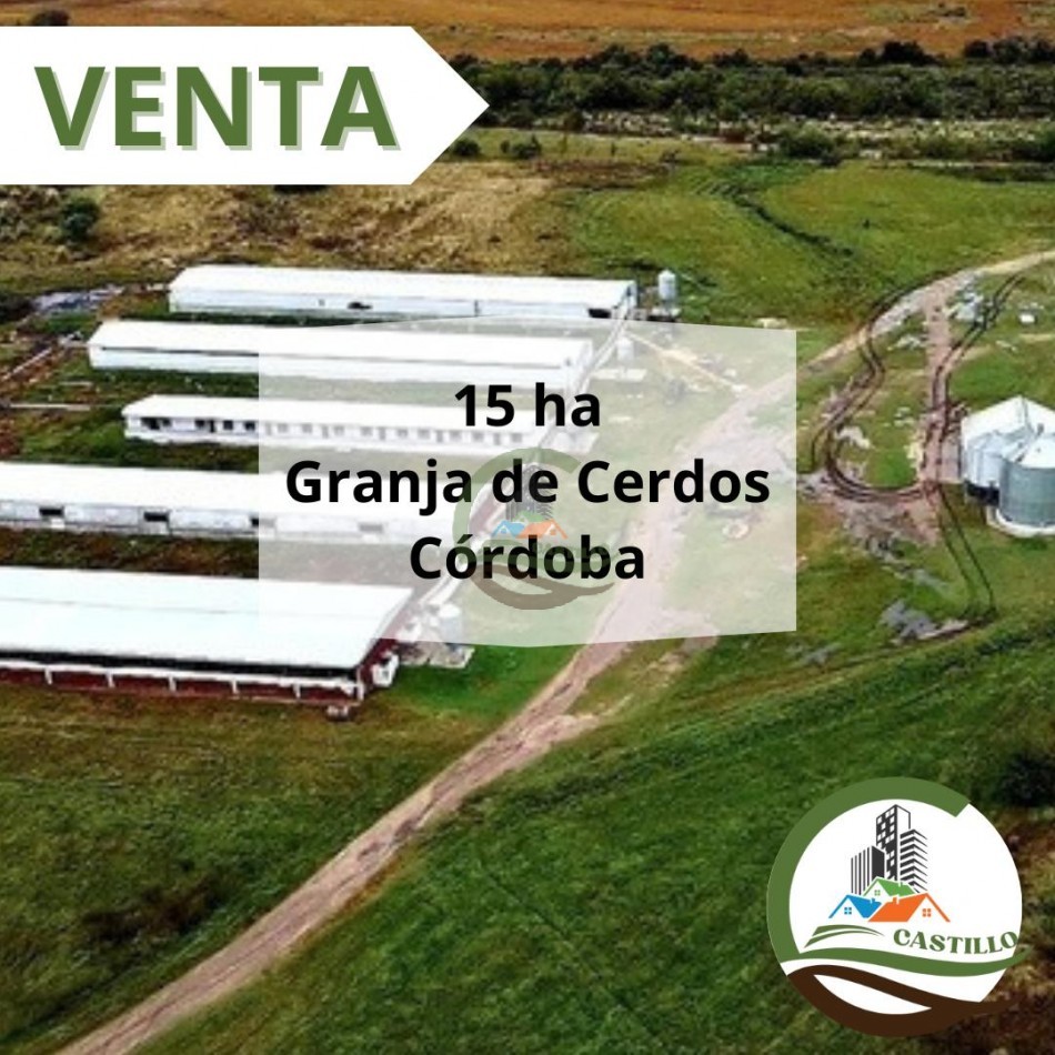 15 ha granja porcina - cordoba