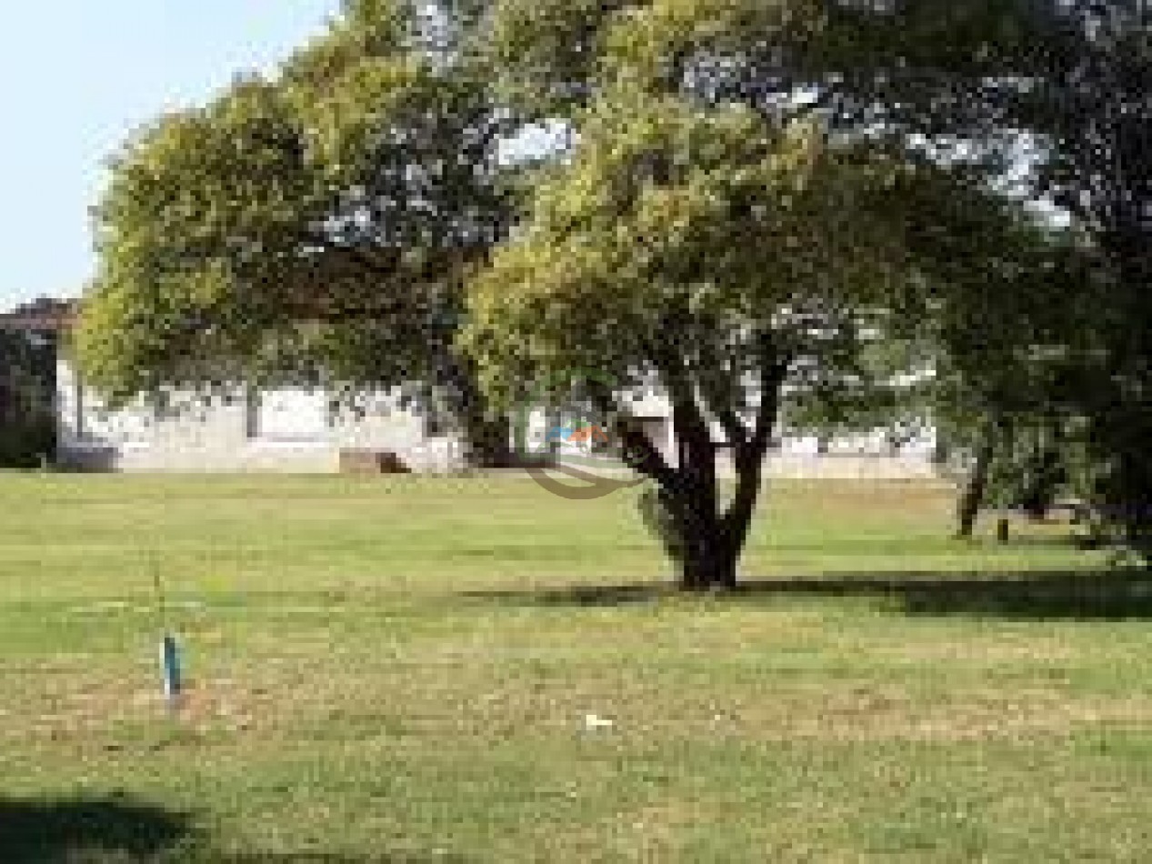 1561 Ha Mixtas - San Martin - Santa Fe