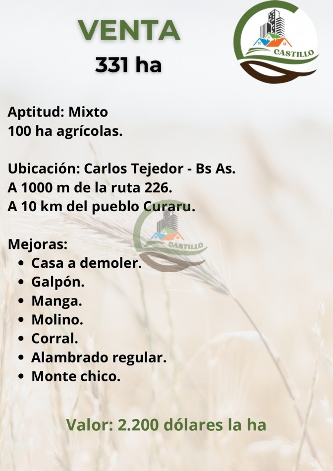 331 ha mixto - carlos tejedor
