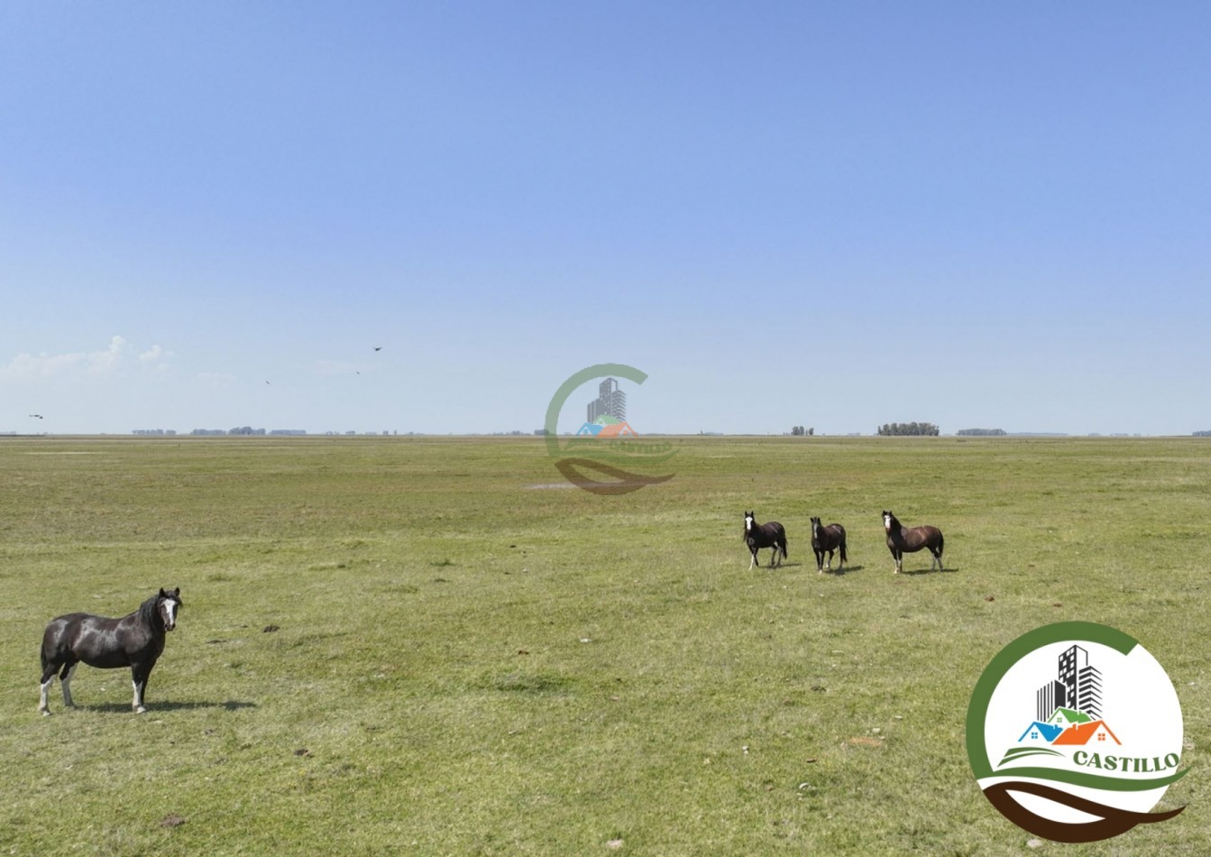 3275 ha ganaderas - general alvear