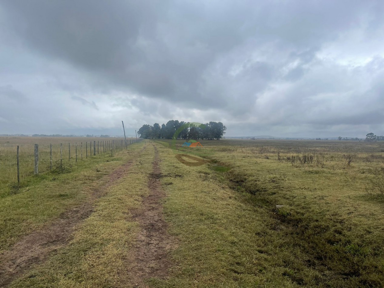 47 ha Ganadera - Olavarria