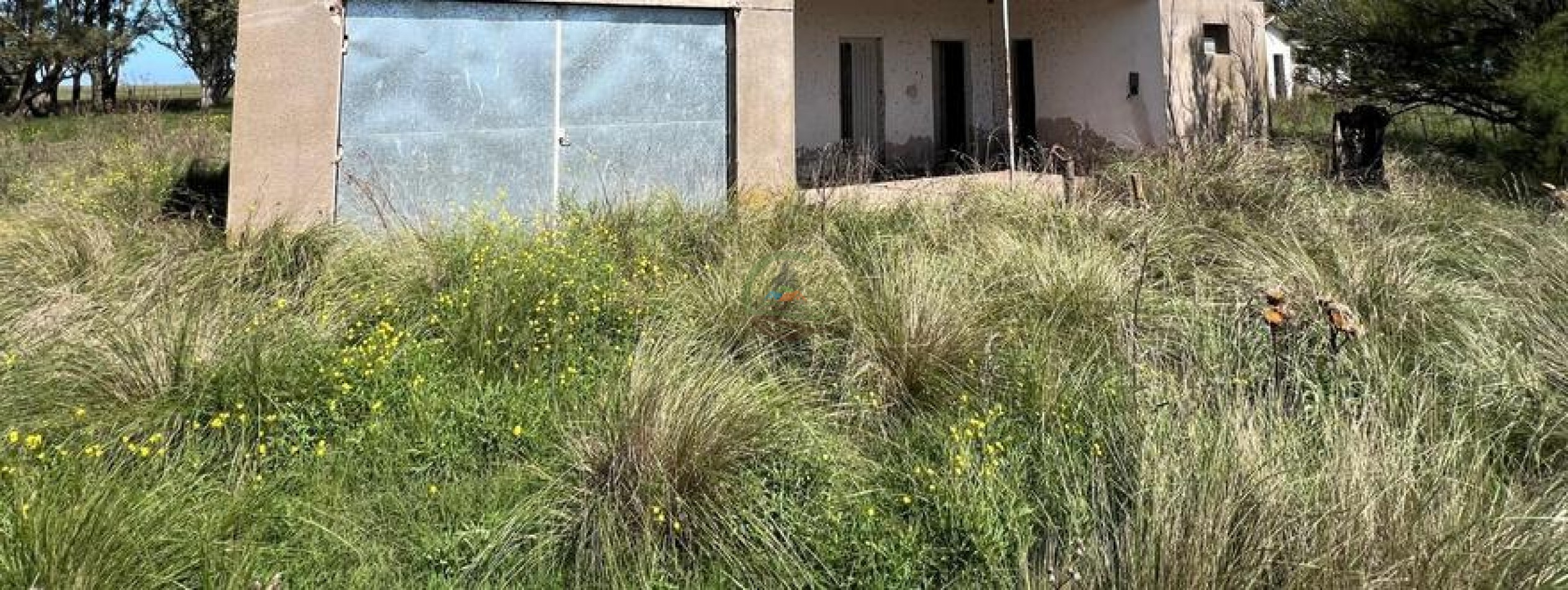 320 Ha Mixtos - Tres Arroyos