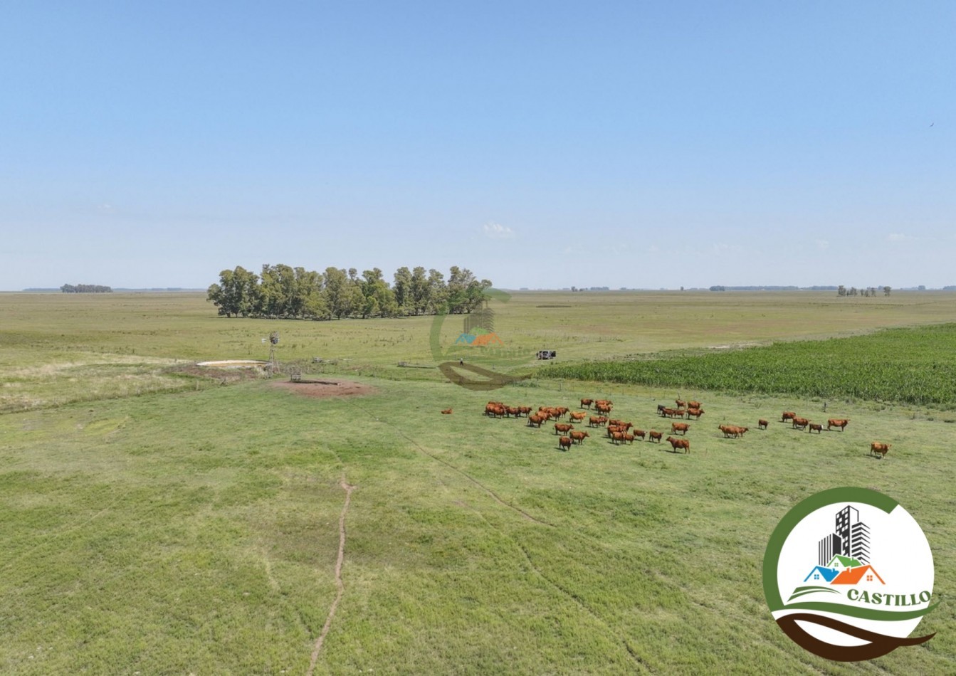 3275 ha ganaderas - general alvear