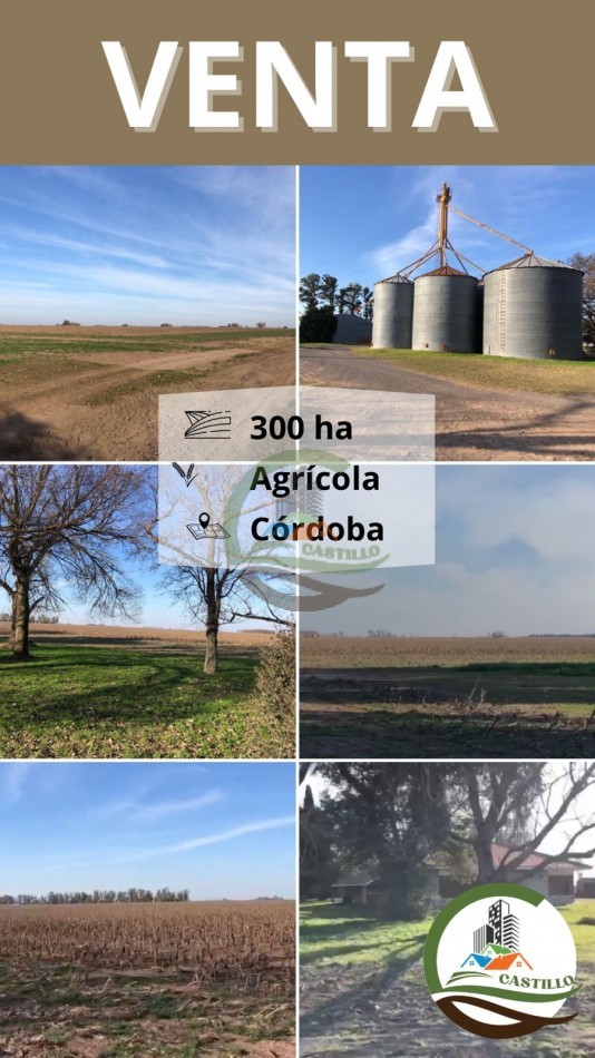 312 ha Agricolas - Cordoba