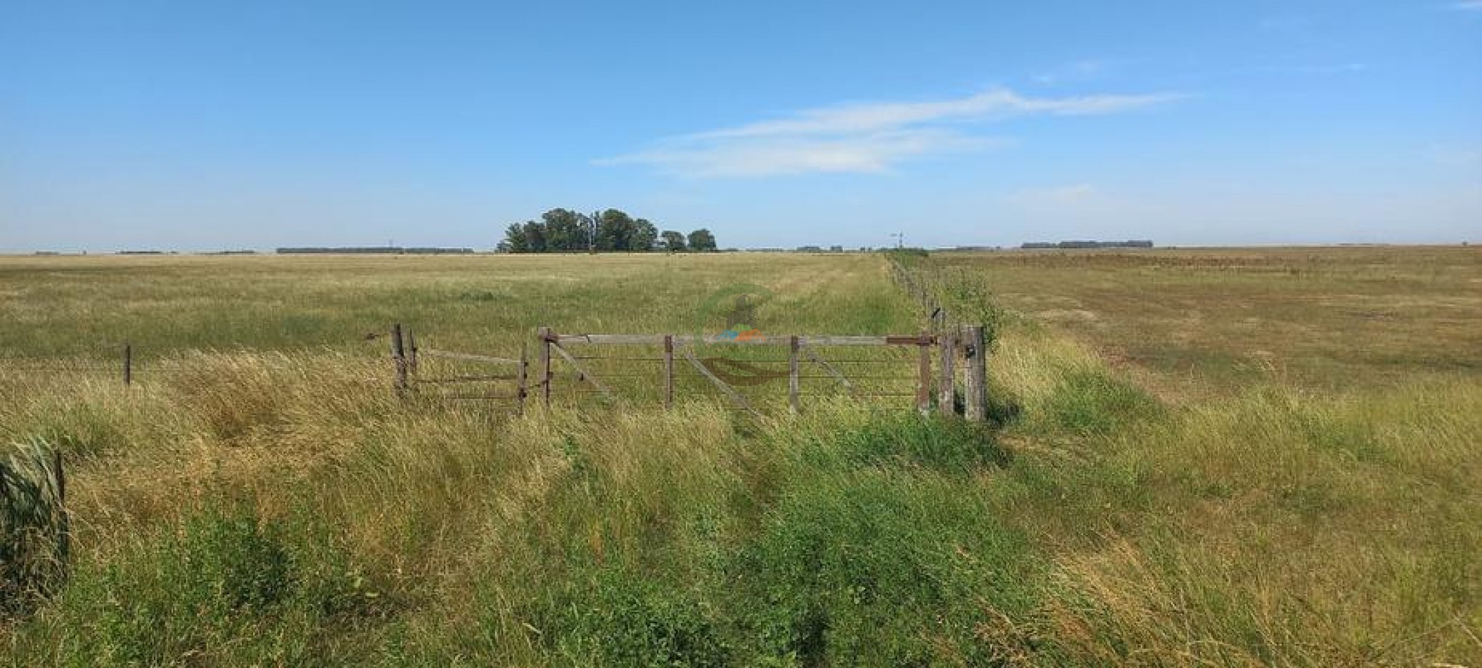120 Ha Ganadero - Santa Isabel - Gral Alvear