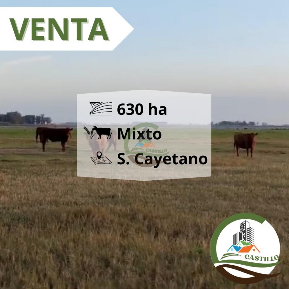 650 ha mixtas - san cayetano
