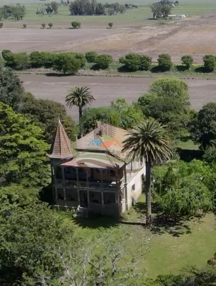 220 ha Agricolas - Balcarce  