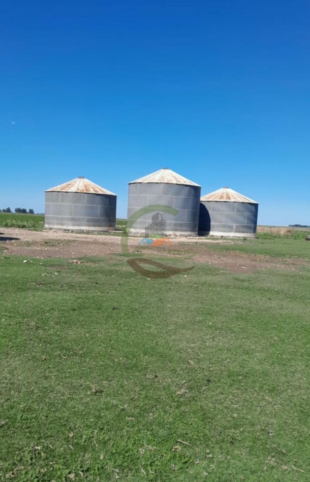 350 ha Agricolas - San Cayetano