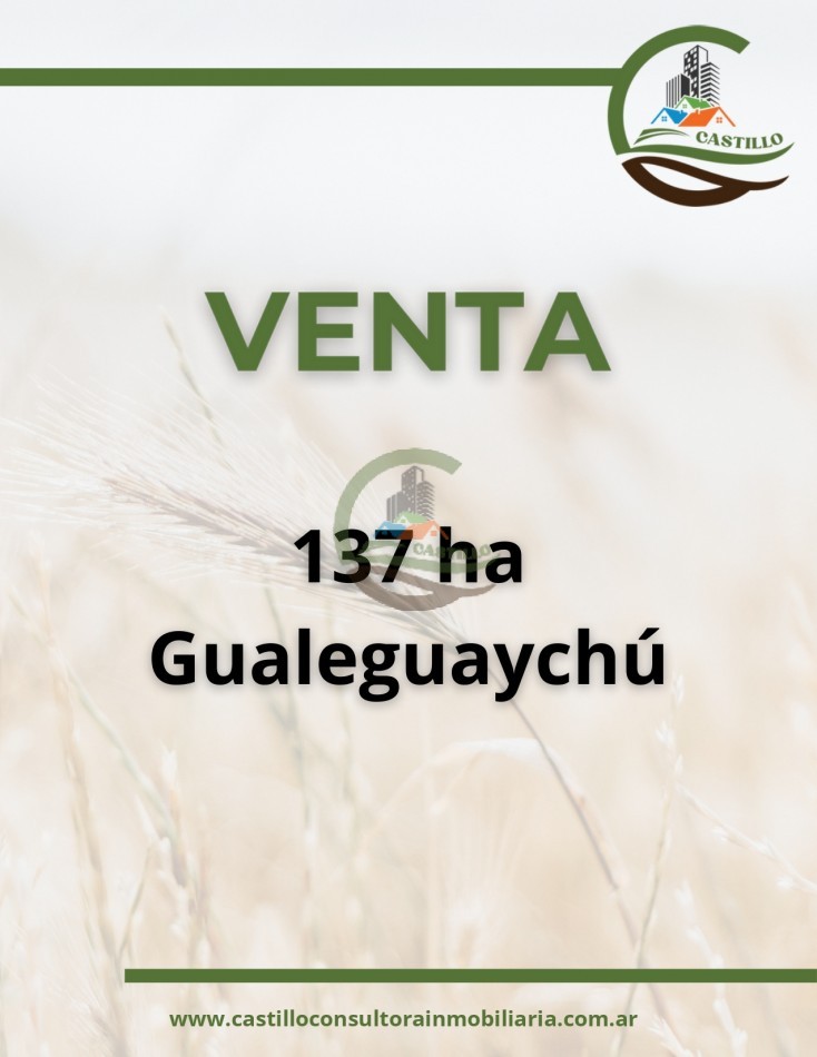 137 ha agricolas - Gualeguaychu