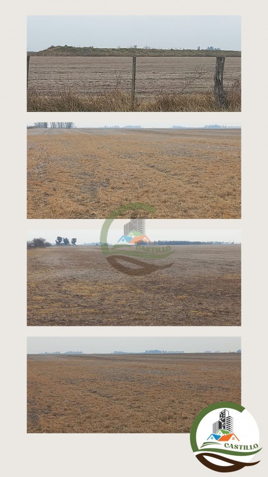 310 ha agricolas - bolivar 
