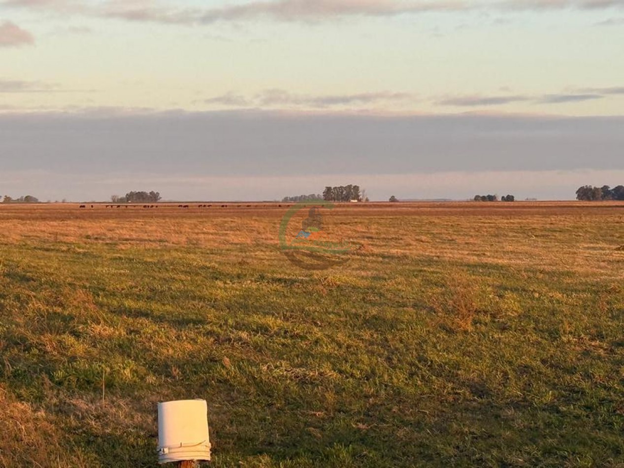 60 Ha Mixto - Bolivar