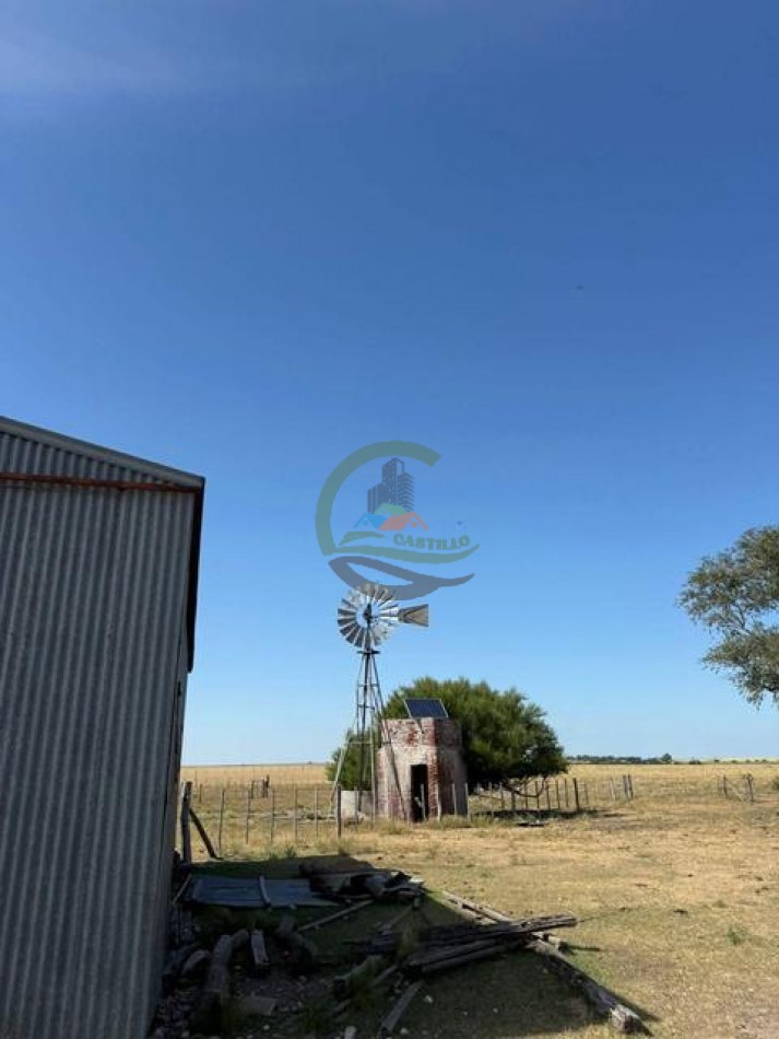 200 Ha Ganadero - Villa Iris - Buenos Aires