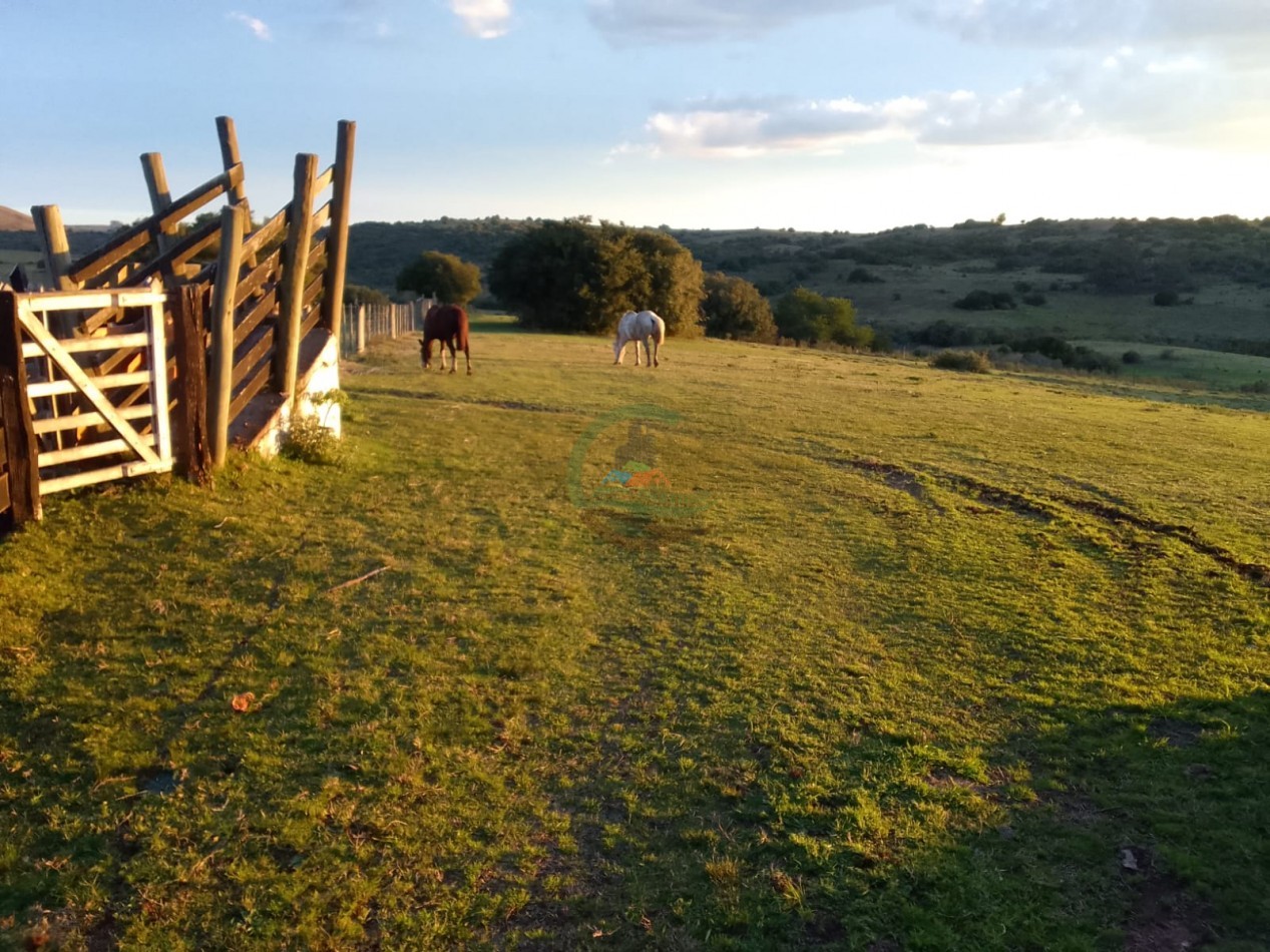 155 ha Ganaderas - Uruguay