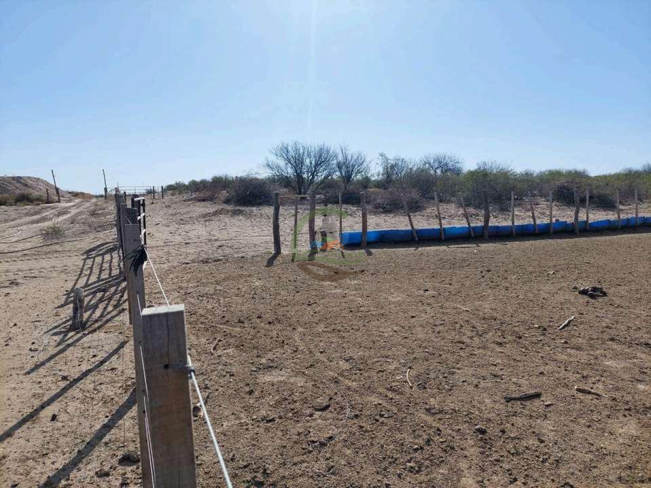 2417 Ha Ganadero (Feedlot) - Gral Alvear - Mendoza