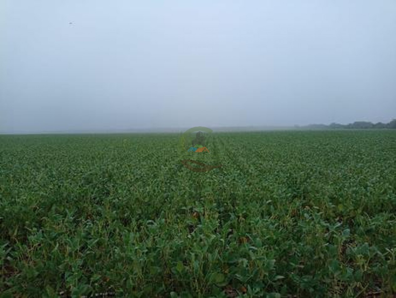 118 Ha Agricolas - Sarmiento - Totoral - Cordoba