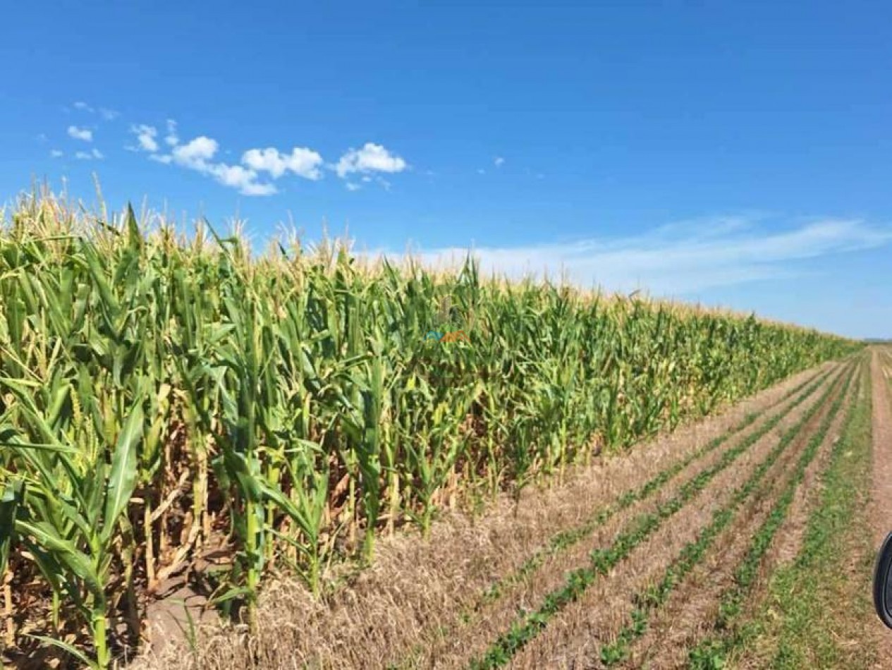 192 Ha Agricolas - General Pinto