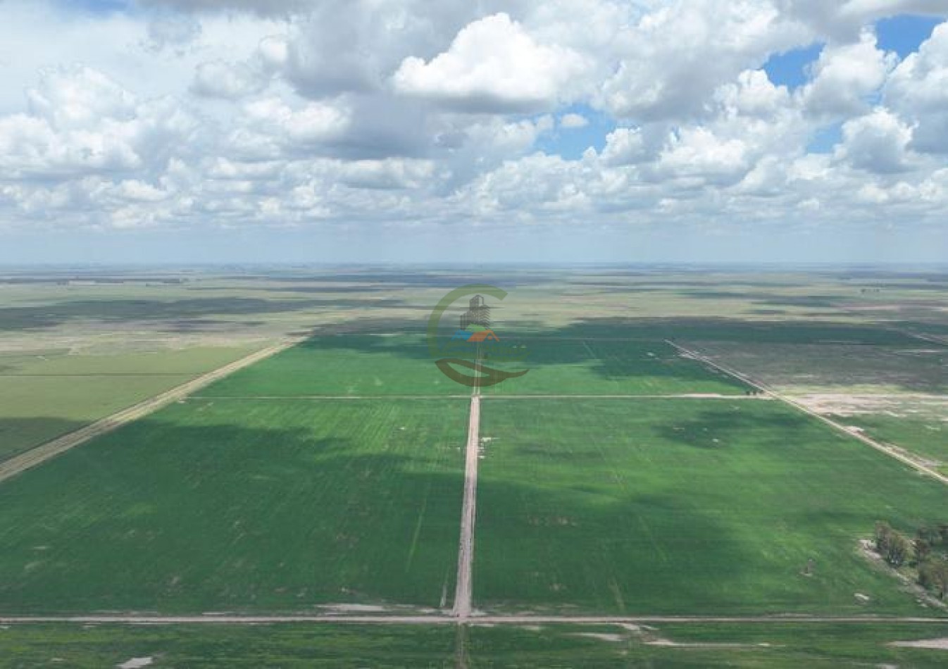1009 ha Mixto - Rufino - Santa Fe