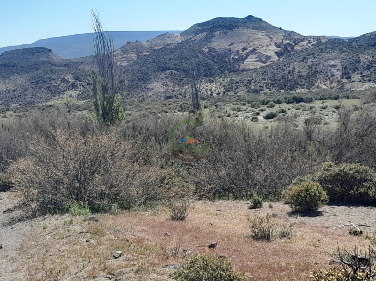 15000 ha Ganaderas - Chubut