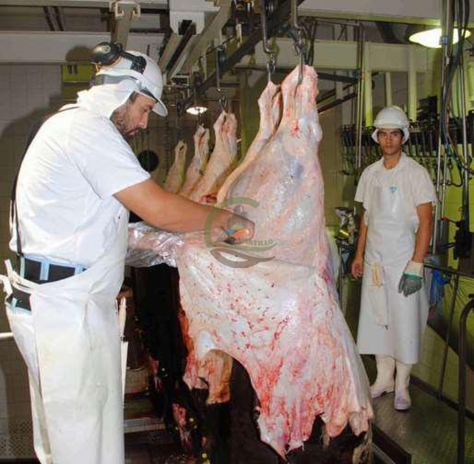 Frigorifico - con feedlot- Exportadora - La Adela - La Pampa