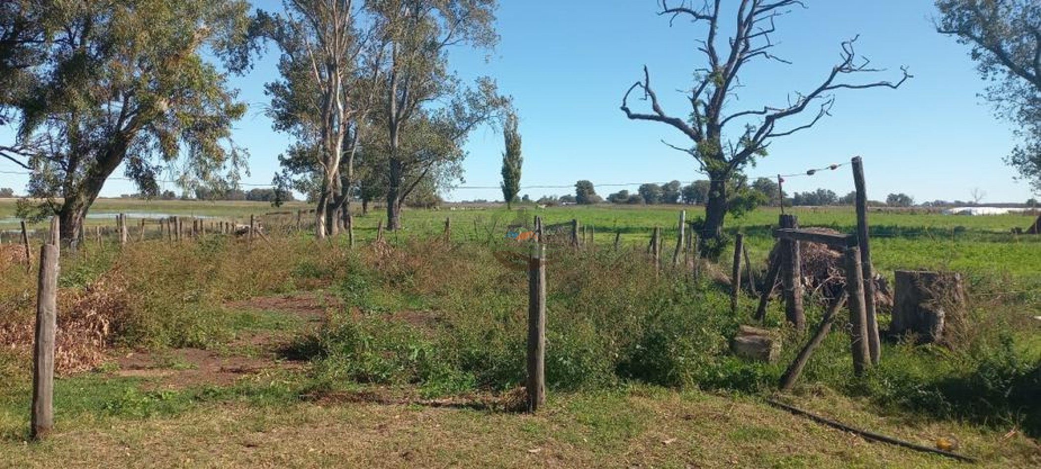 30 Ha Ganadero  - Bolivar