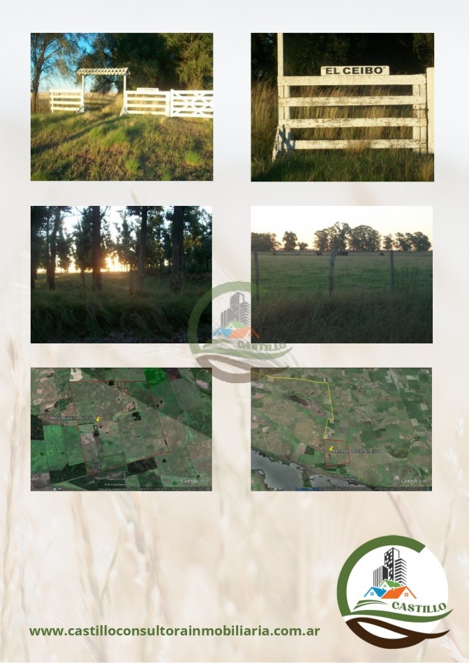 400 ha mixtas - guamini