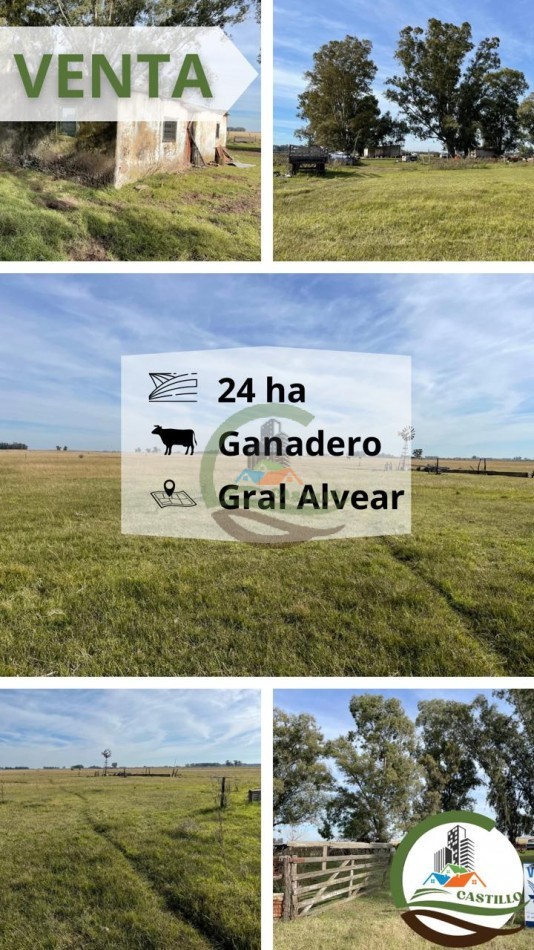 24 HA Ganadero - Alvear