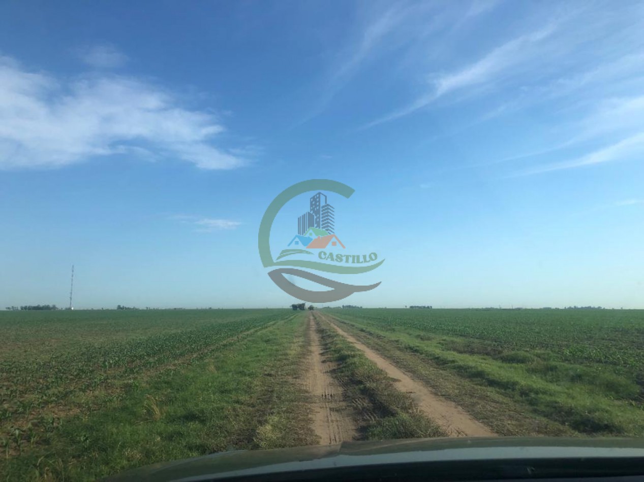 230 ha agricola - Labulaye