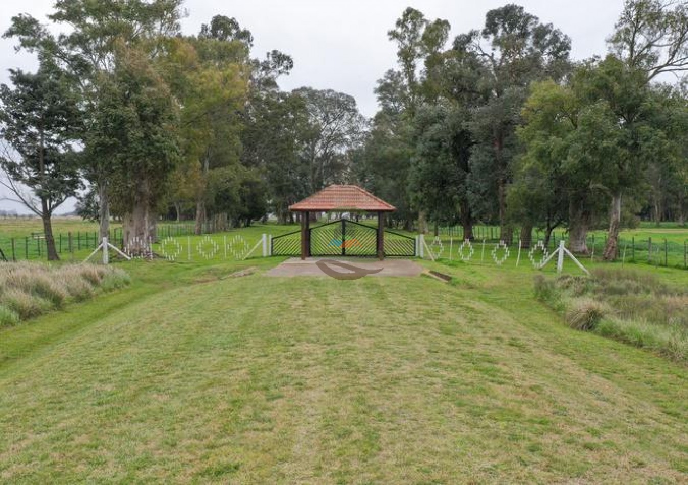1795 Ha Ganadero - Chascomus