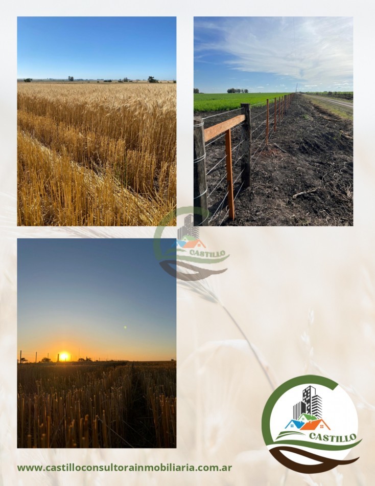 221 ha agricolas -  gualeguaychu