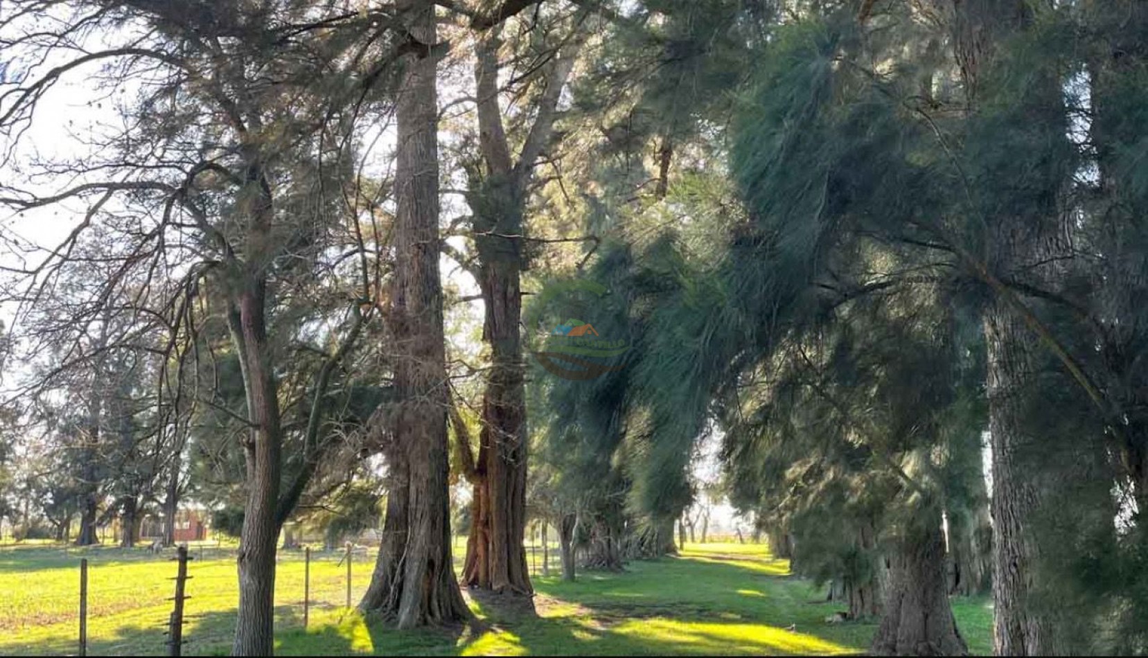 45 ha Agricolas - Lobos