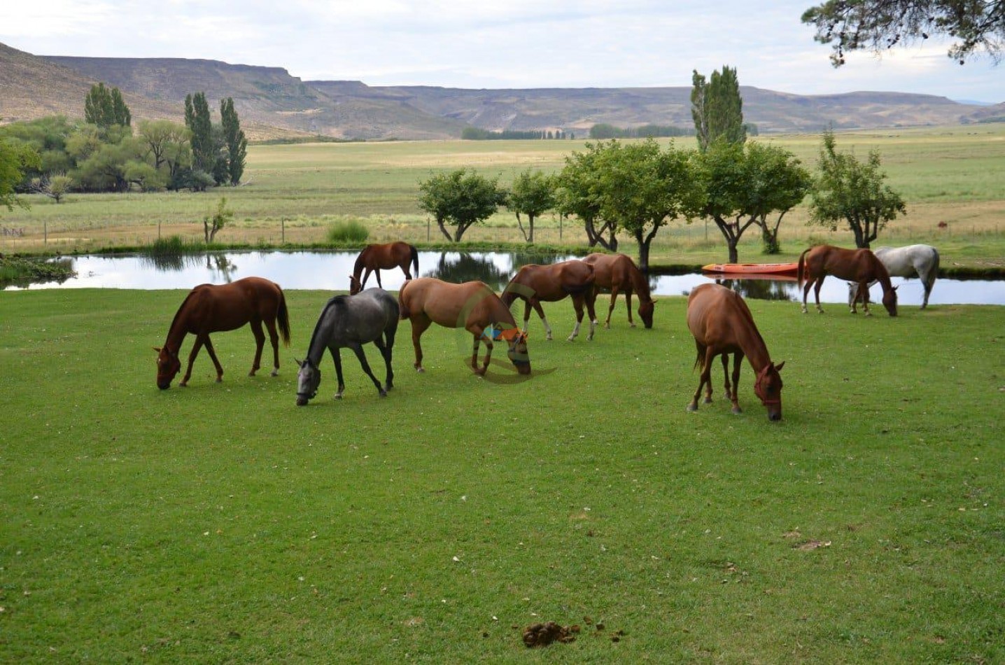 4047 Ha Ganadero - Coto de Caza - La Rinconada - Neuquen