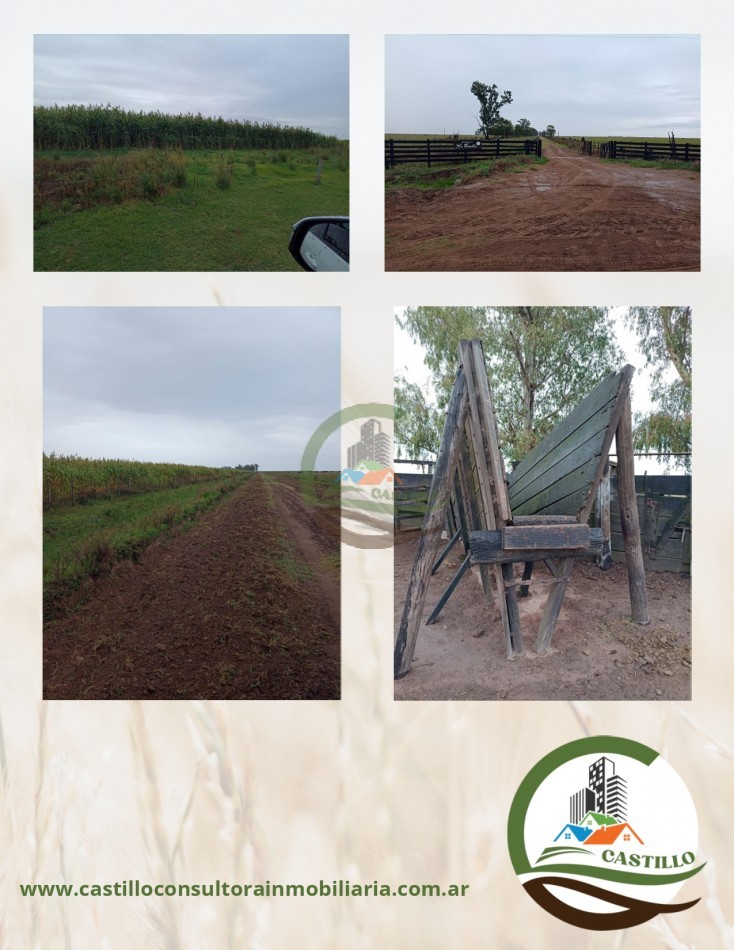 1012 ha Mixto - Gral Pinto