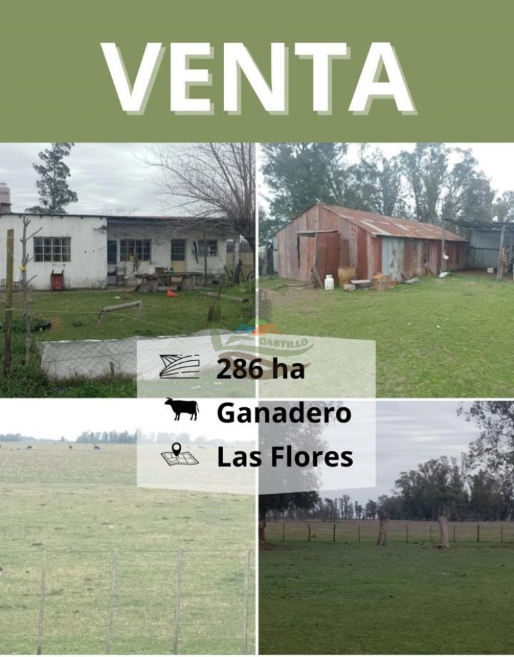 286 ha Ganaderas - Las Flores
