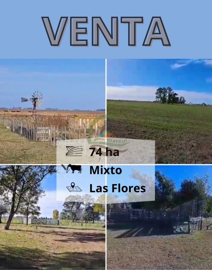 74 ha mixtas - las flores