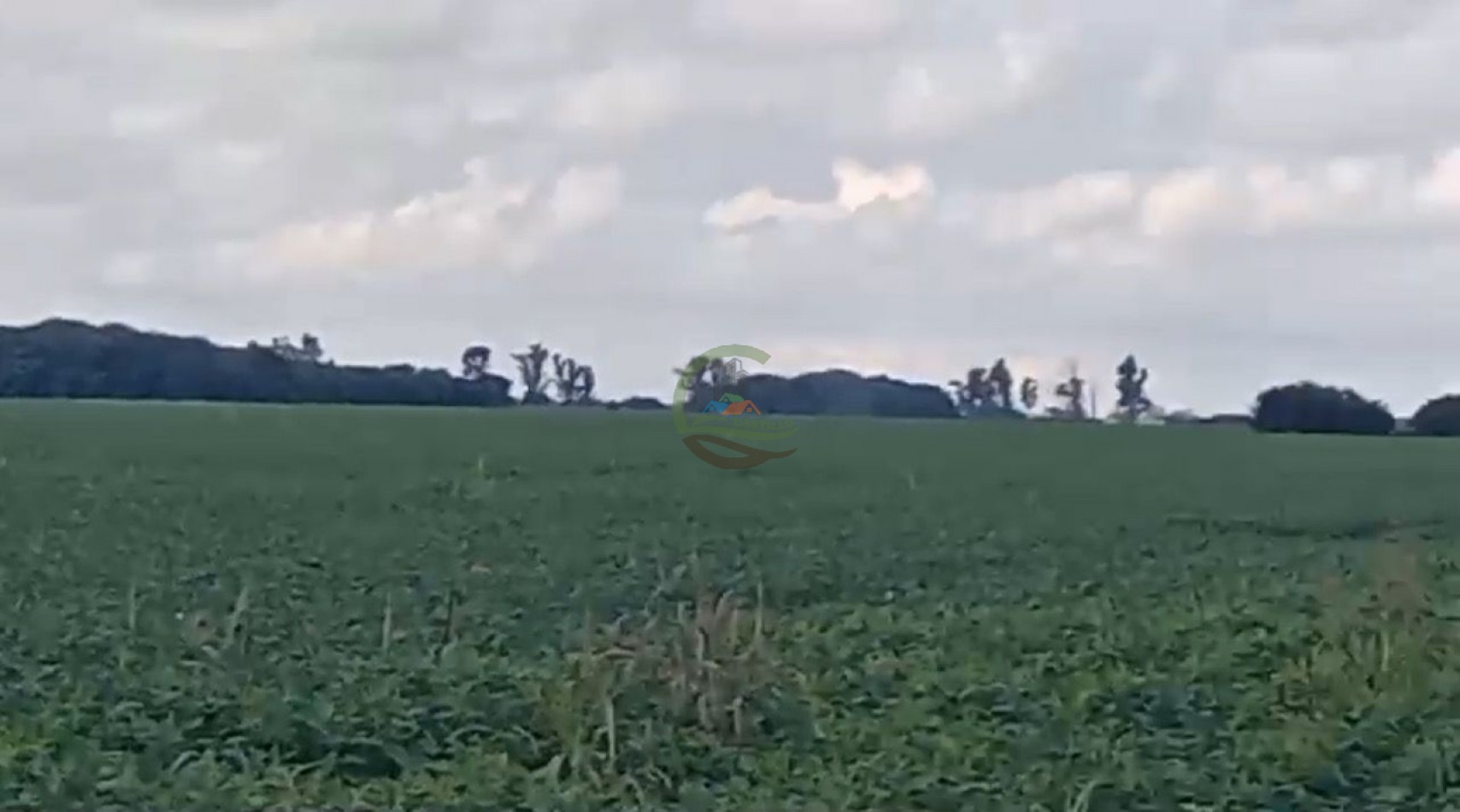 200 ha Agricolas - Cordoba 