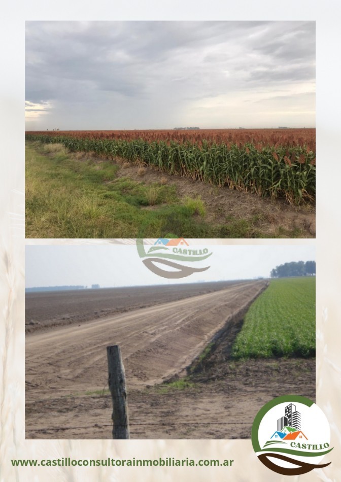 1912 ha agricolas - Cordoba